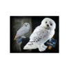 peluche-edvige 49 eur